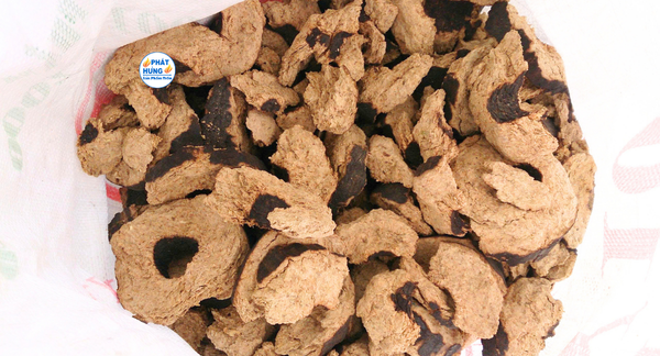 CỦI TRẤU ĐẬP